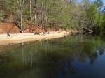 Boone Fork pond restoration